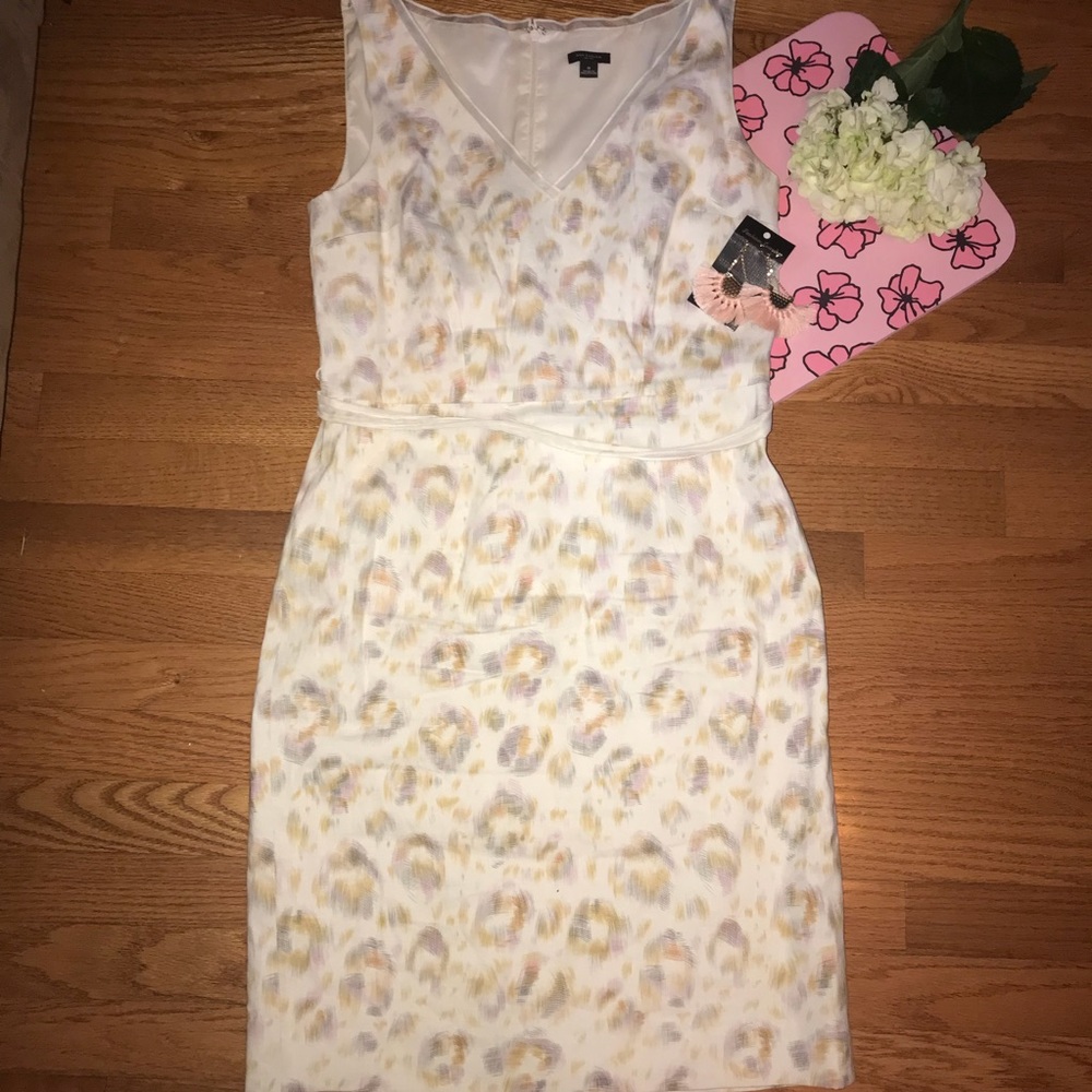 ANN TAYLOR Belted Dress